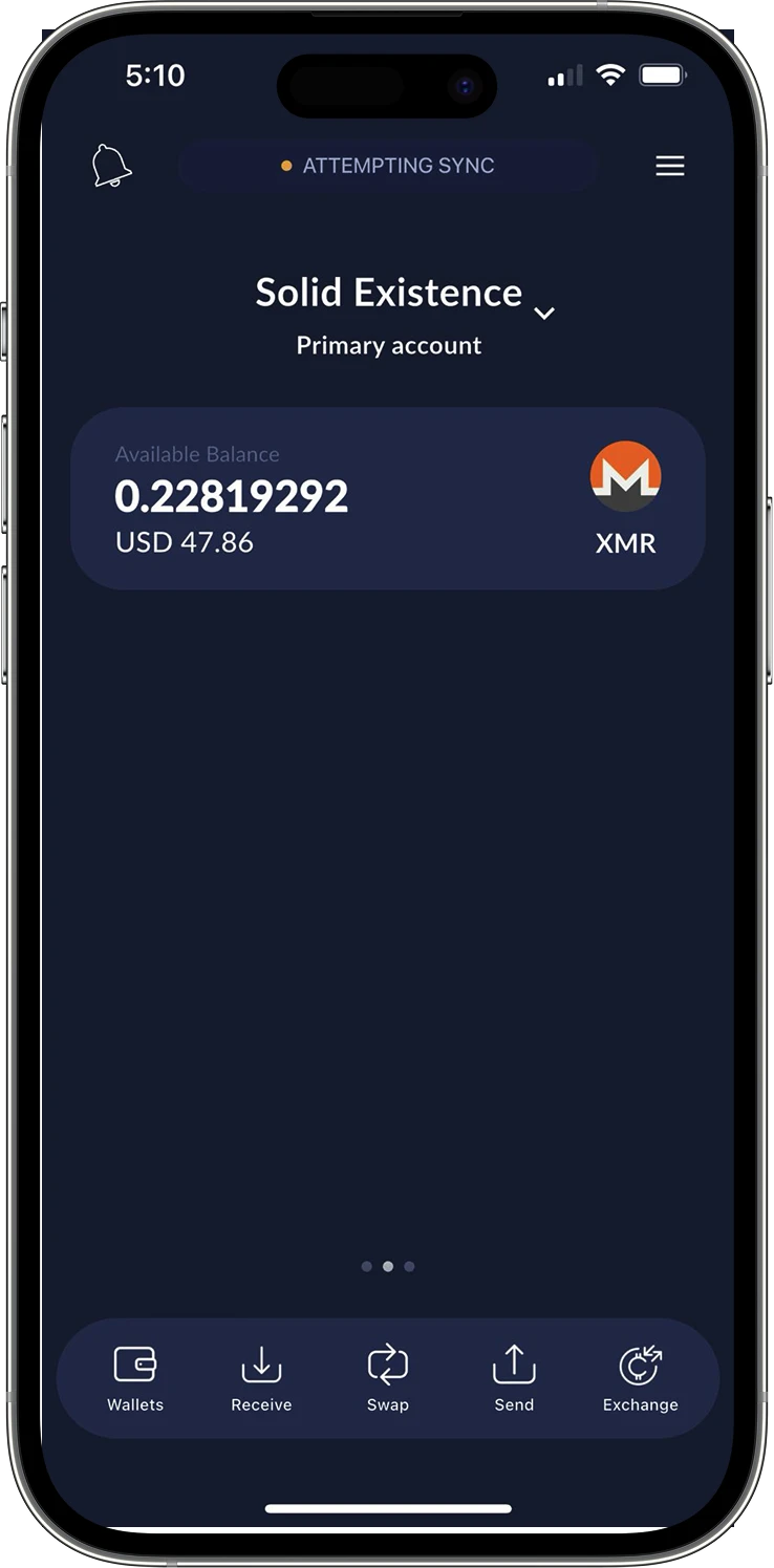 Cake Wallet Mobile App Interface - Portfolio View